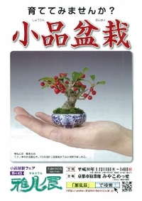 ◆終了◆ 第43回雅風展